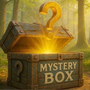 Mystery Box 7 tops size 2X